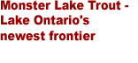 Click here for more info on Lake Trout fishing in Lake Ontario . . .